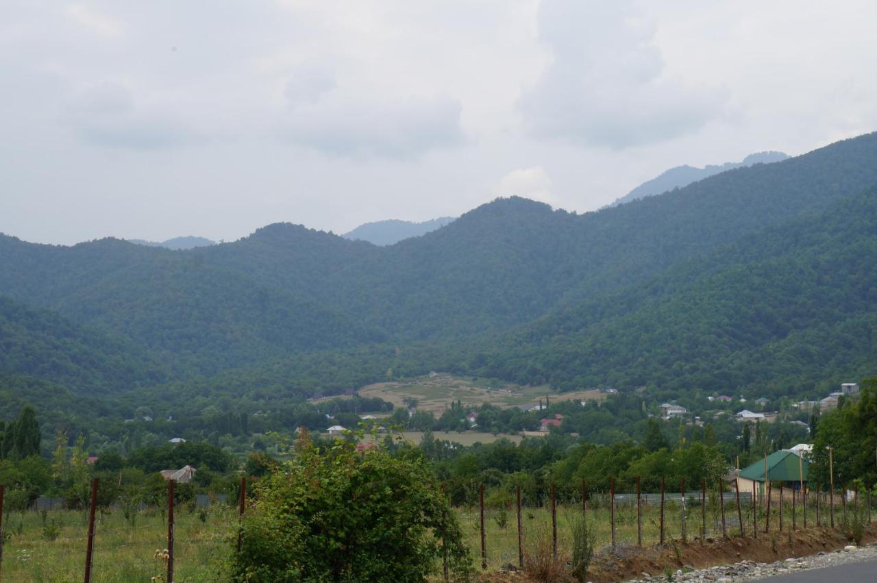 Woodland Paradise Gabala Ngoại thất bức ảnh