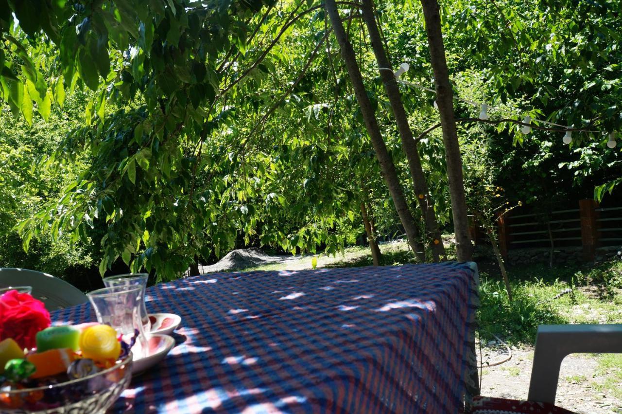 Woodland Paradise Gabala Ngoại thất bức ảnh