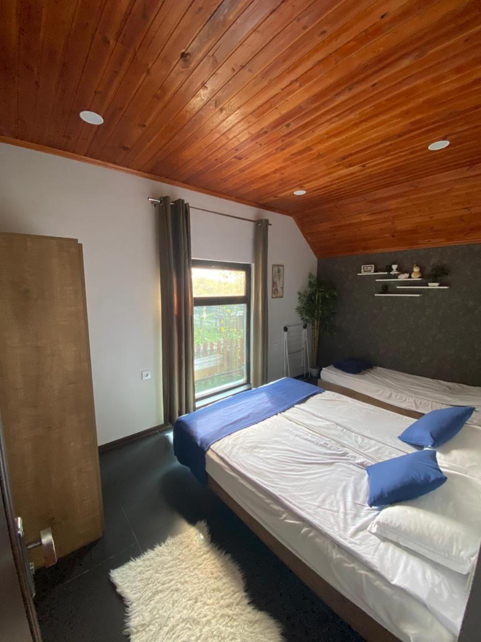 Woodland Paradise Gabala Ngoại thất bức ảnh
