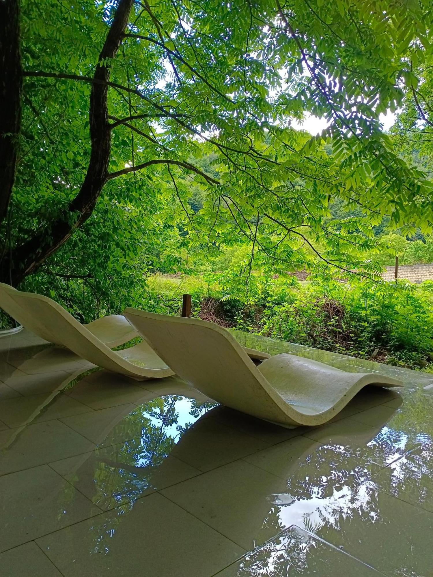 Woodland Paradise Gabala Ngoại thất bức ảnh